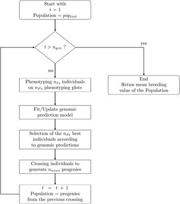 Frontiers Bayesian Optimisation For Breeding Schemes